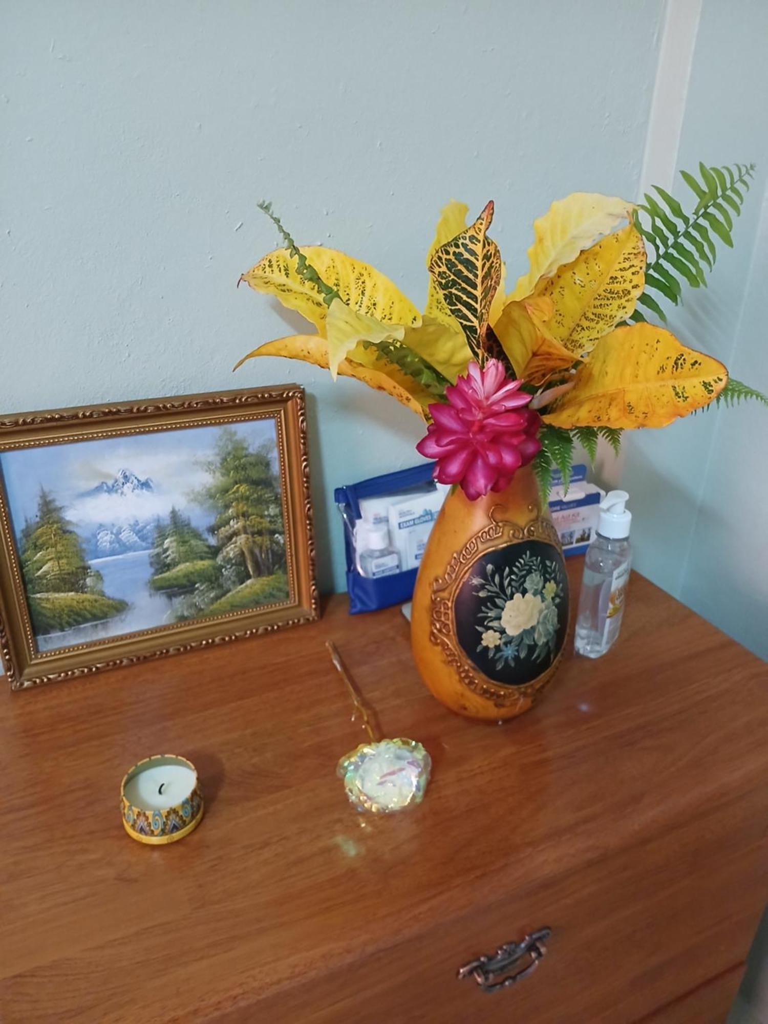 Natrue'S Haven Bed & Breakfast Marigot Luaran gambar